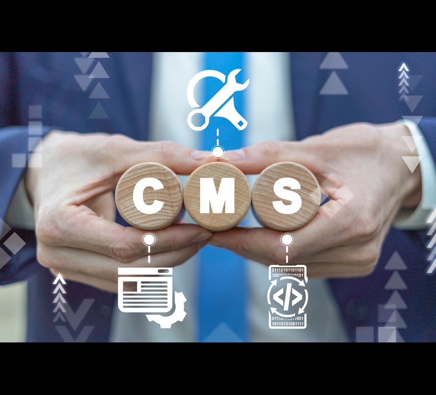 CMS Development Services