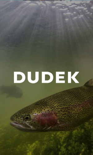 Dudek