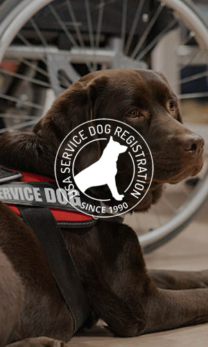 USA Service Dog Registration